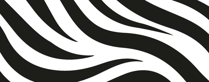 Poetry films for the ZEBRA Poetry Film Festival 2025